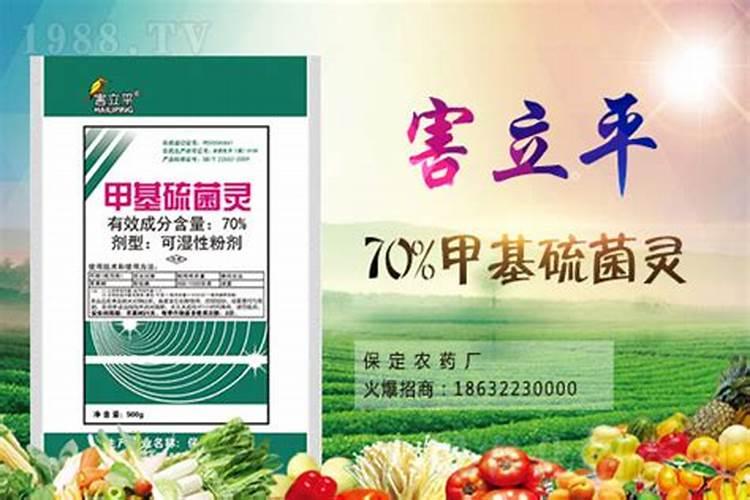 钙镁磷肥的施用方法及注意事项有哪些？