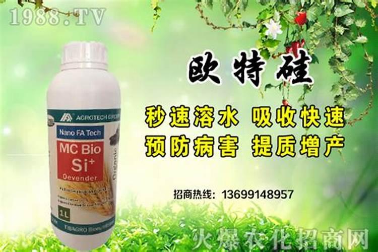 肥水用什么肥快