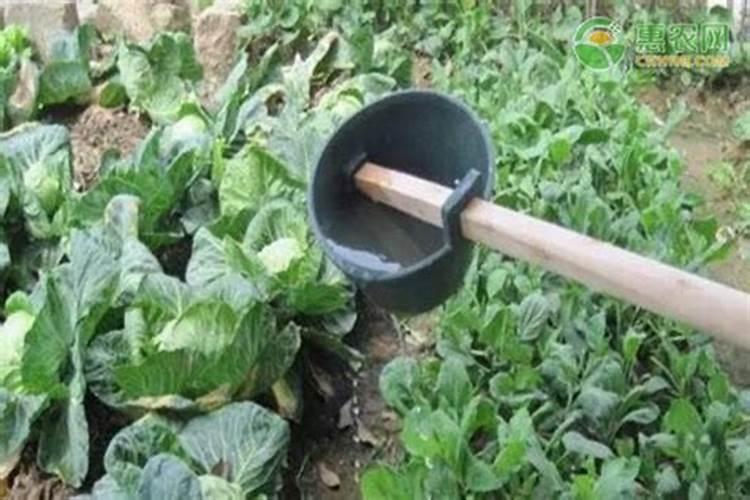 种菜用什么追肥长得快