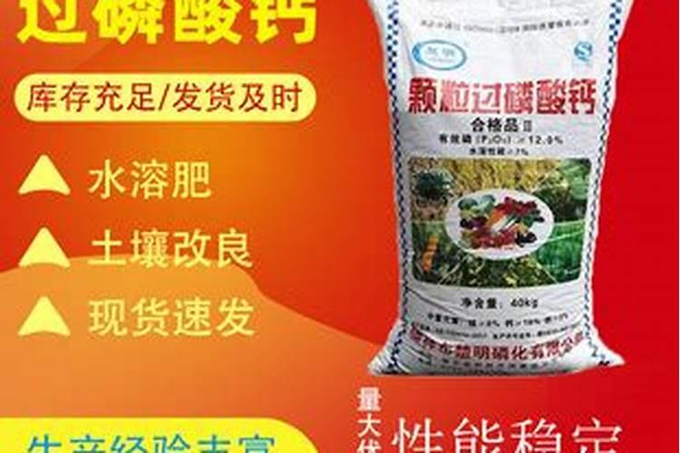 芸豆打叶子能从根部掐吗