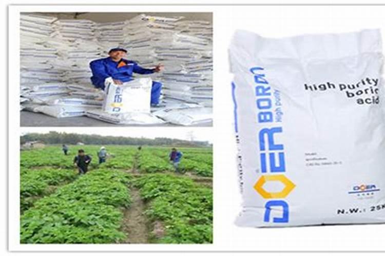 硼肥有哪些