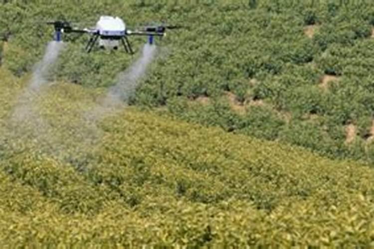 黑龙江实力农业肥料怎么样