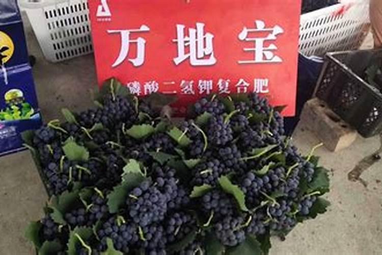秸秆最好的利用方法