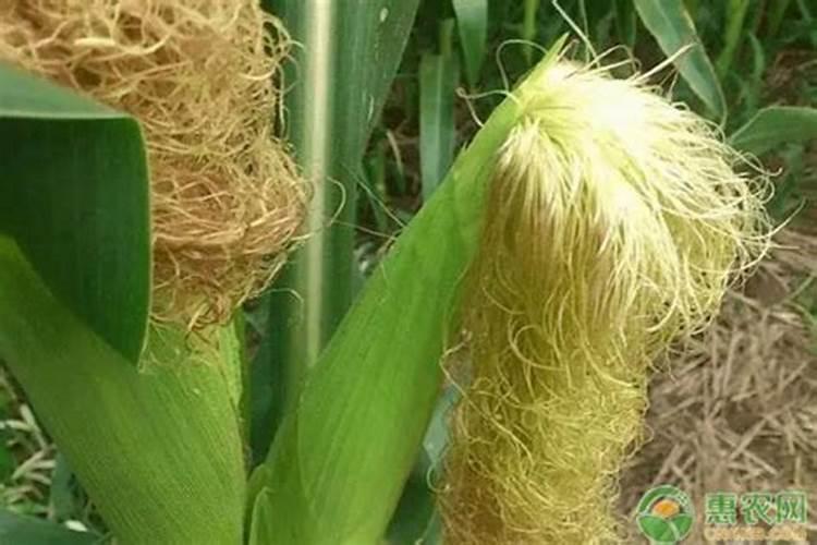 云南希姆达肥业有限公司怎么样？