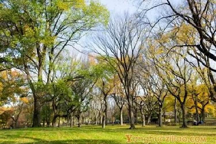 玉溪红塔区哪些有哪些企业