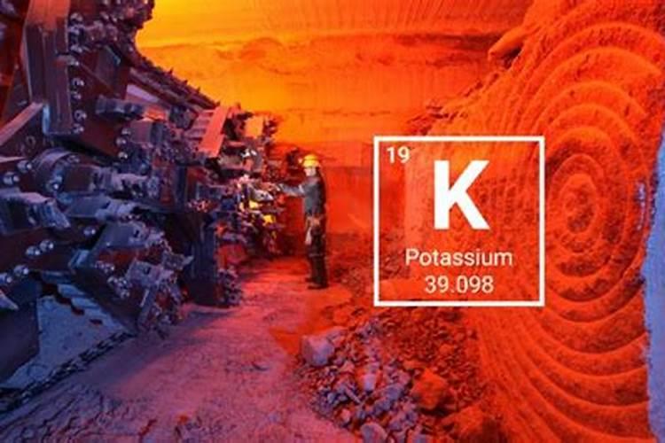 青枣是一种优异的热带、亚热带珍稀水果,青枣高产栽培技术是什么？