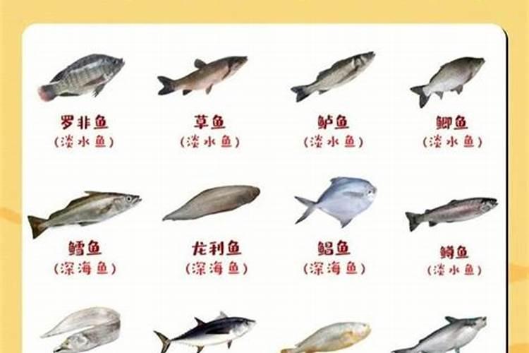 大丰收干锅脆鱼的做法视频