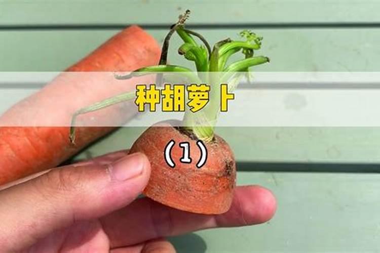 莆田鞋质量最好的厂家