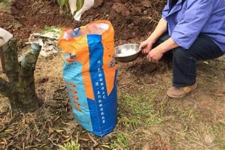 有机肥的制作方法