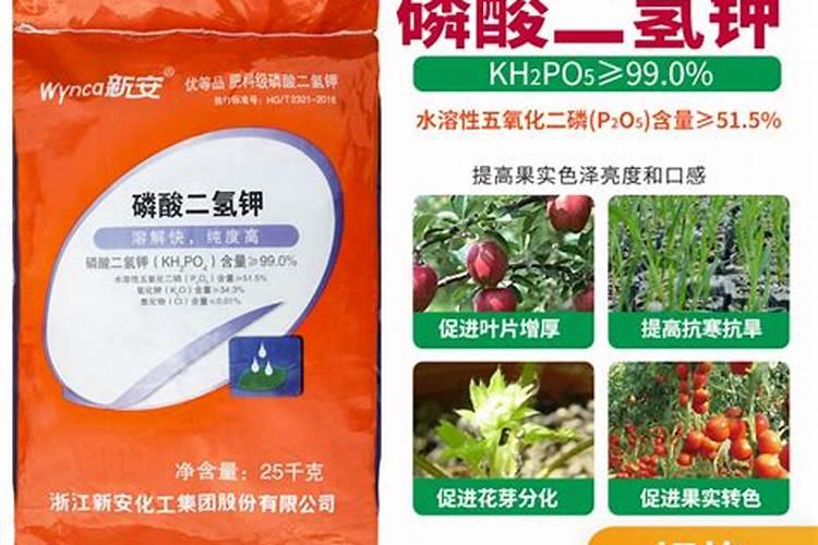 养兰花用什么肥
