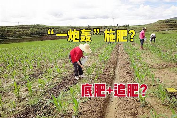 什么水是弱碱性的矿泉水