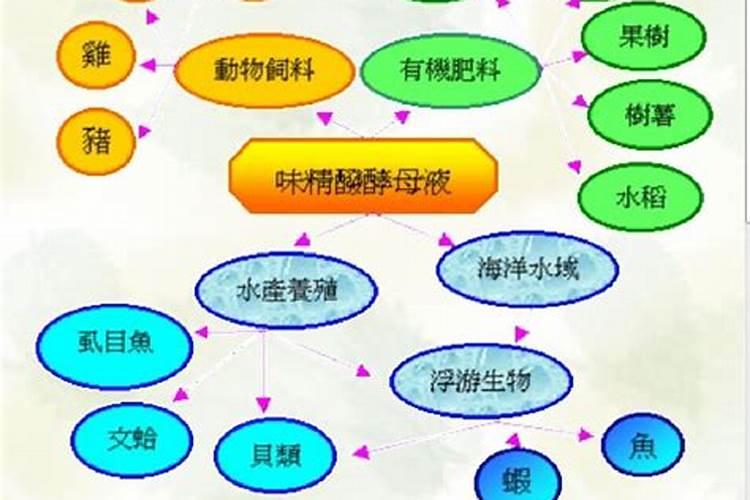 养富贵竹放点味精是不是会好点