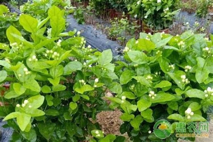 莞茜问题快...急!!!