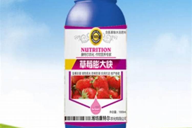 月季花可以用磷酸二氢钾肥吗(盆栽月季施什么肥最好)