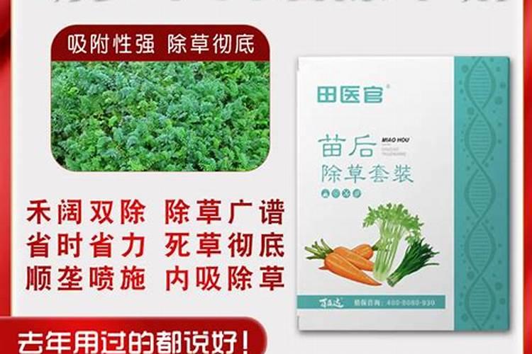 胡萝卜黑腐病如何防治