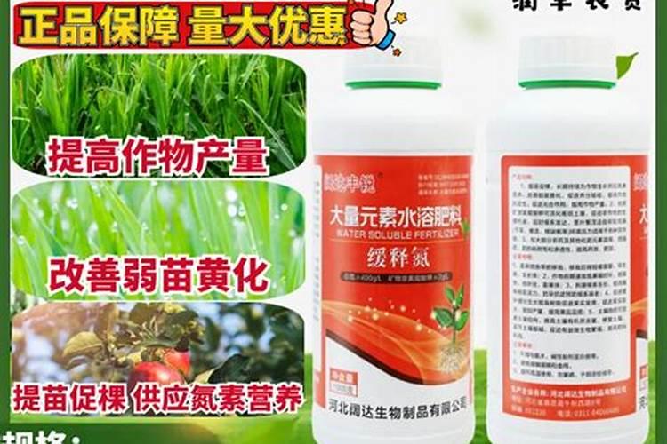 什么肥料能促长植物的根