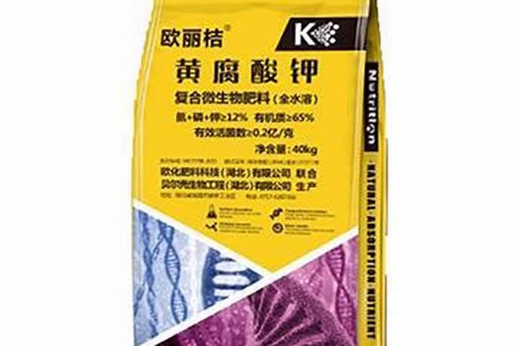 3月可以播种辣木种子吗？