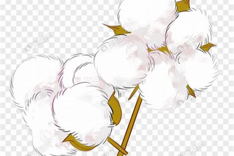 钼硼肥在棉花上的作用？