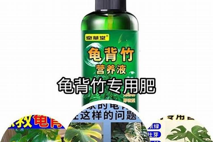 兰花需要哪些肥料