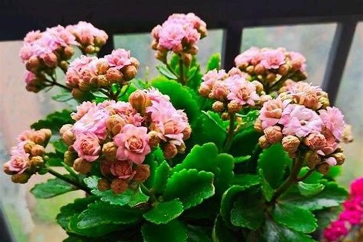 请问知道,有个疑问如下,知道不知道为什么？