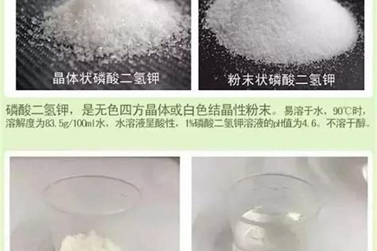 大蒜叶发黄发白