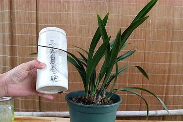 种植蔬菜时小苏打真的可以当农药使用吗？为什么？