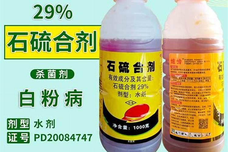 往球兰花盆放点黄豆可以吗？