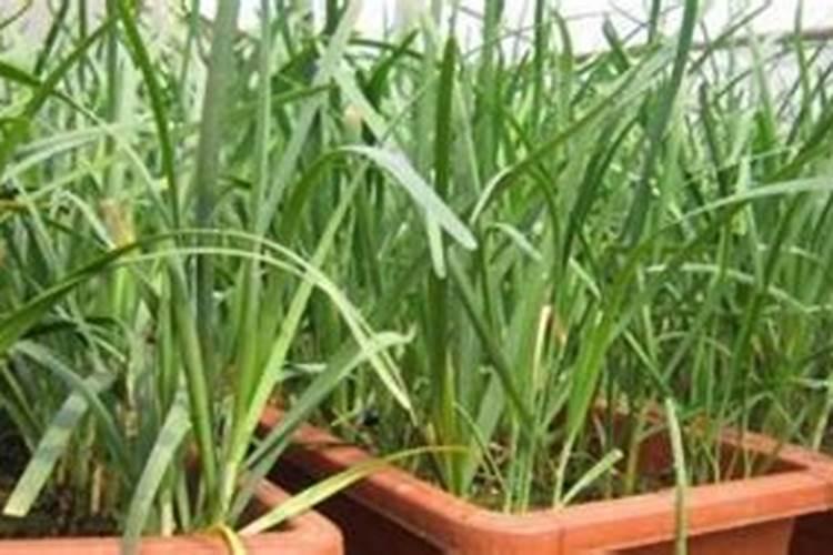 初中化学中各类化肥如何区分