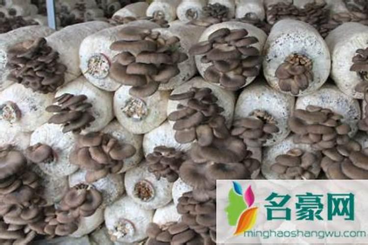 底肥含钾二铵沙土地能用吗吗