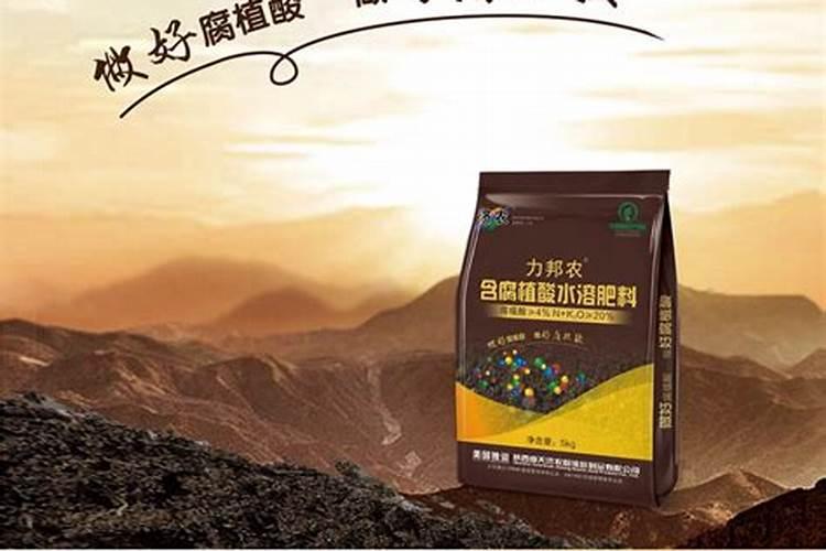 红地球葡萄栽培管理技术要点