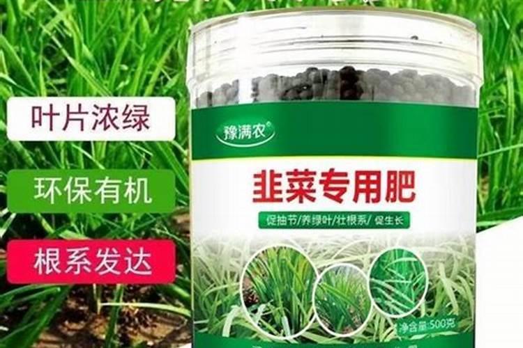 韭菜喜欢什么肥料最好