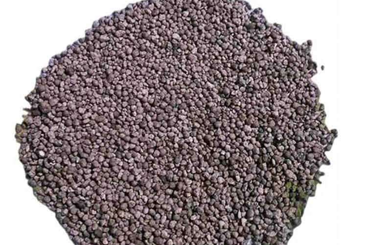 如何提高沃柑甜度和品质 沃柑高产种植技术