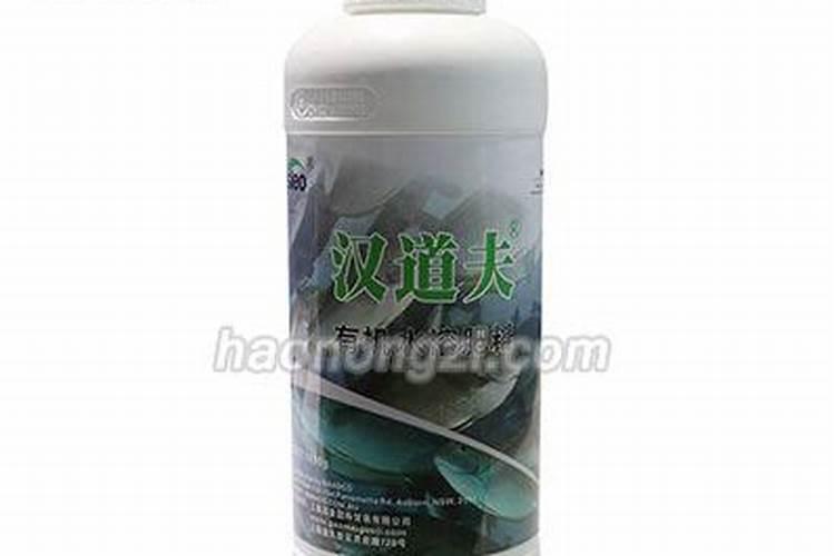 八月兰花多久浇水一次 八月兰花浇水次数