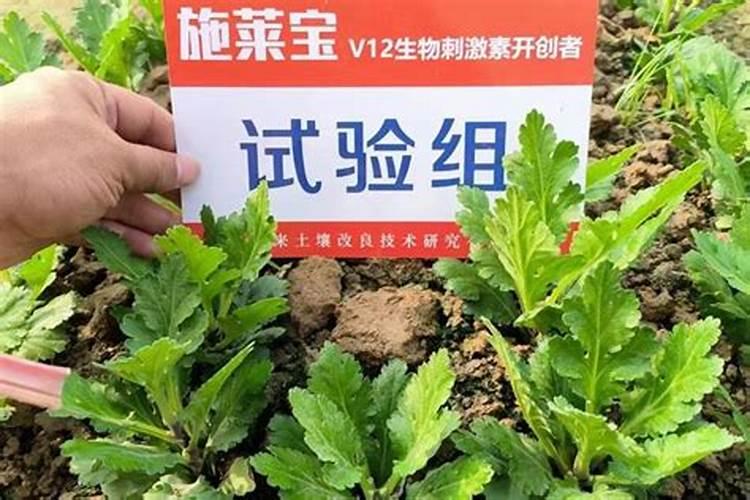 水稻各个时期的田间管理,什么时候晒田