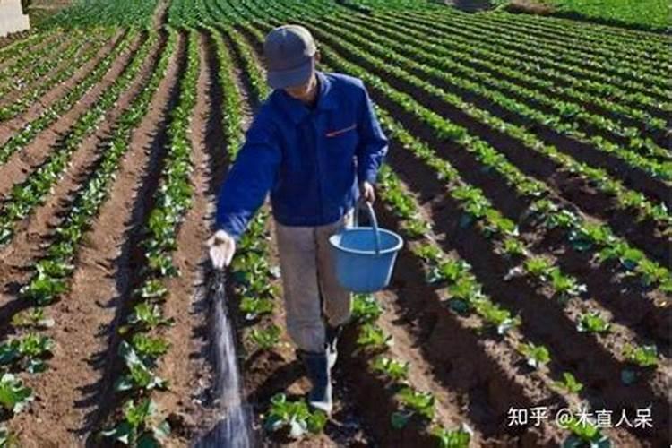 哈伯法合成氨发明