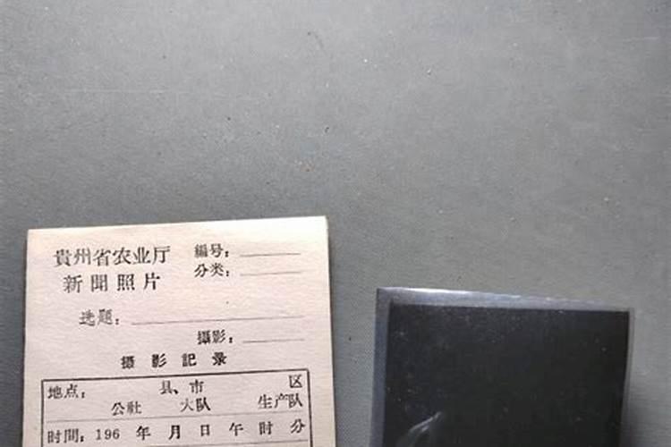 八月瓜种植市场怎么样呀