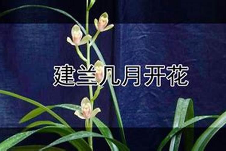 种植大蒜用什么肥料好？高产优质栽培,农民朋友要用好3类肥料