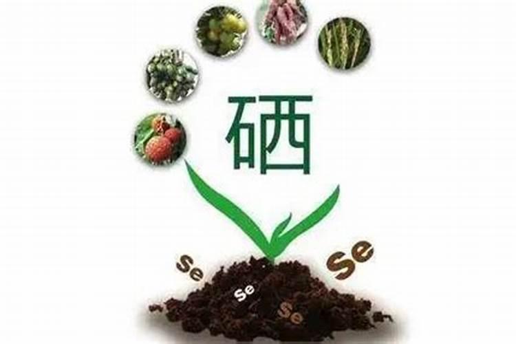 土壤如何补嗮