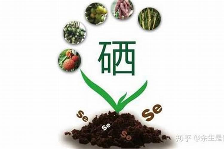 补充硒元素的叶面肥有哪些？