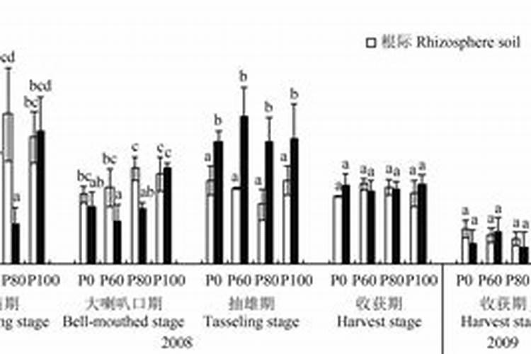 玉米底肥氮磷钾最佳比例