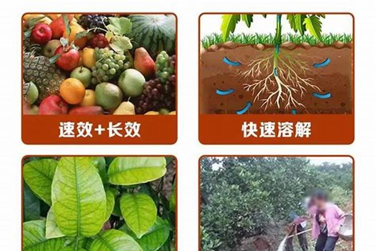 金正大硝基双效复合肥多少钱