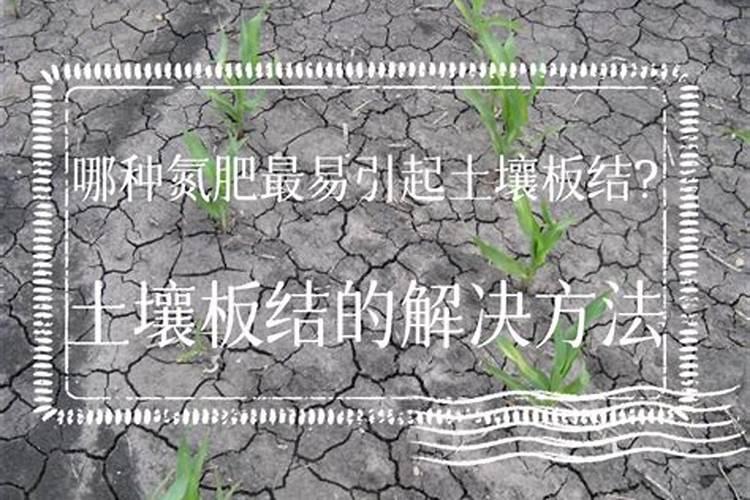 葫芦瓜的打枝诀窍