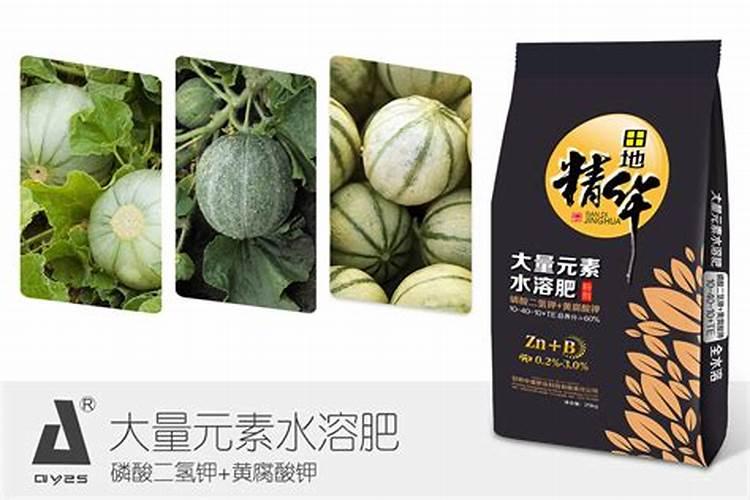 让甜瓜快速增甜的几种方法