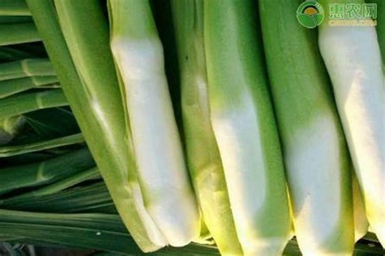 不缺钾可以补钾吗