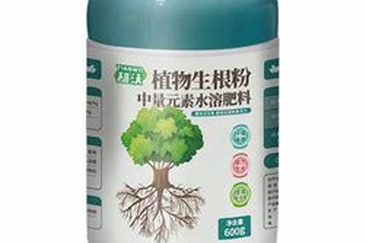 月季在冬季施什么肥好