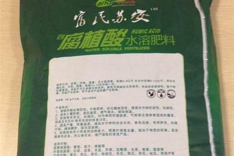 夏天可以种哪些果树