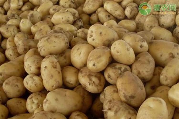 种植土豆用什么化肥