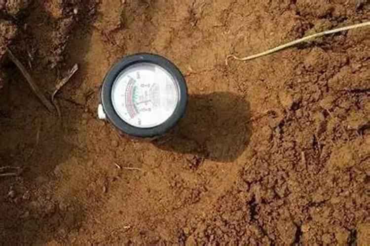 果树喷药和叶面肥6小时后下雨药液有无影响？