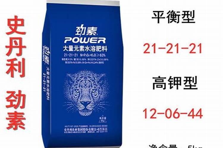 吊兰如何上化肥