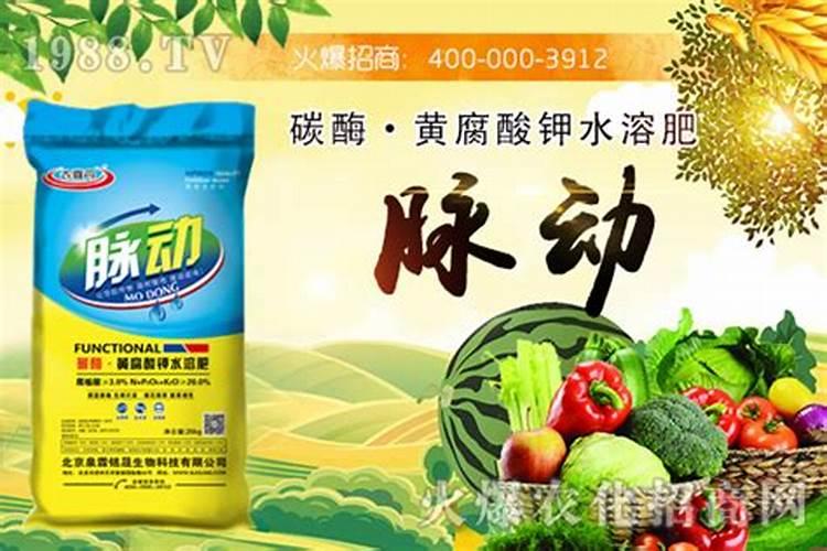自己做腐熟肥怎么做？